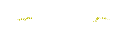 OPERATOTO